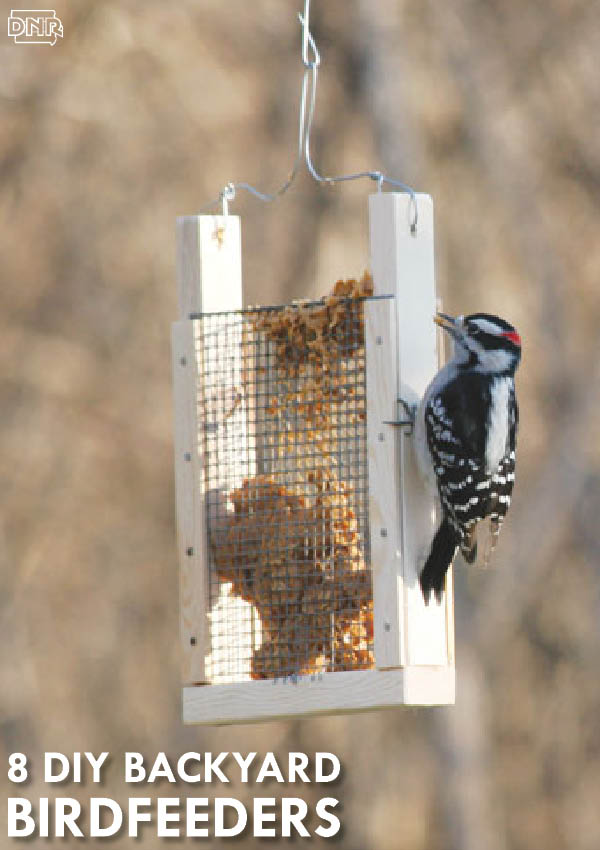 8 DIY birdfeeders for your backyard | Iowa DNR